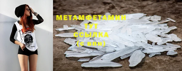 гидра Лагань