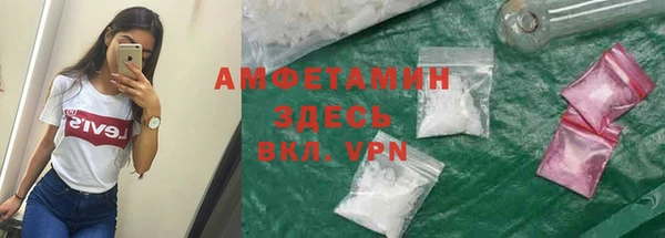гидра Лагань