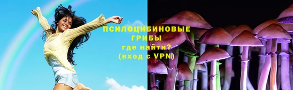 гидра Лагань