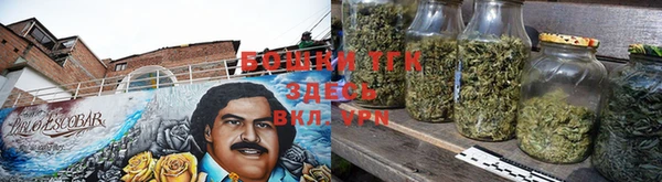 гидра Лагань