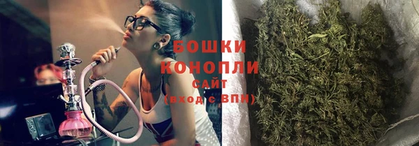гидра Лагань