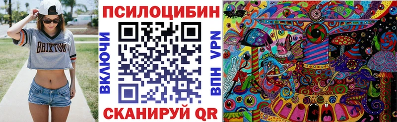 Купить закладки  Гаврилов Посад  Псилоцибиновые грибы прущие грибы 